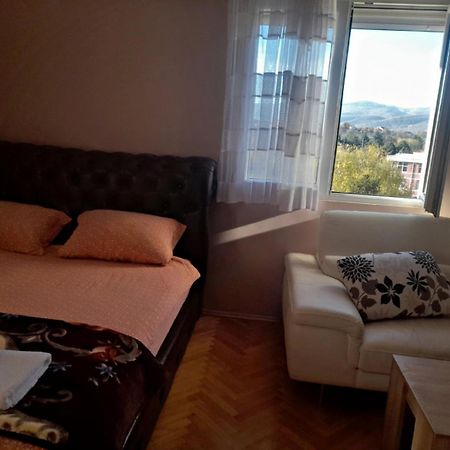 Stankovic Apartman Apartment Vranje Exterior foto